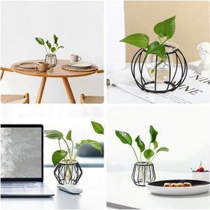 4pcs Plant Stations with Metal Stand Glass Bulb Vases Set for Hydroponics Plants